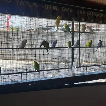 Grand Yayla Çeşme