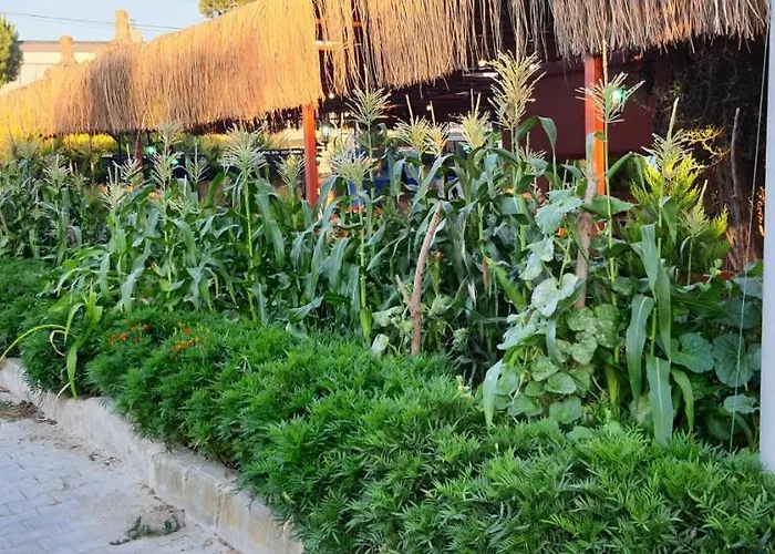 Grand Yayla Hotel 2*