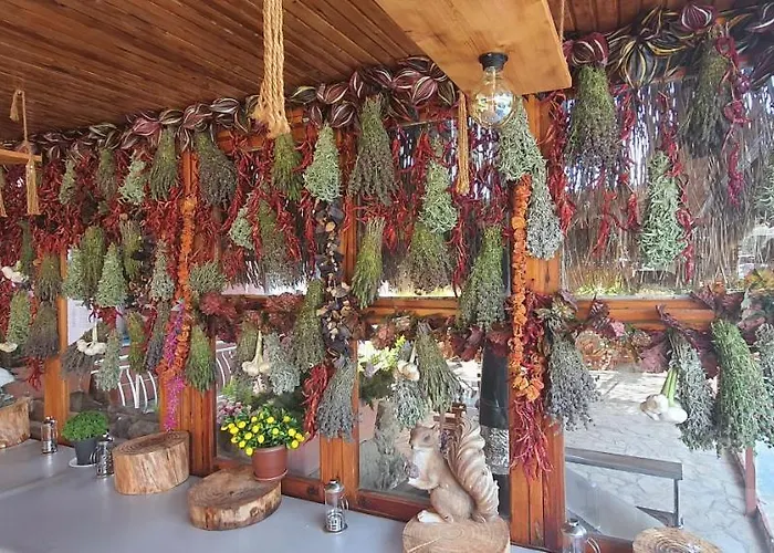 Grand Yayla 2*
