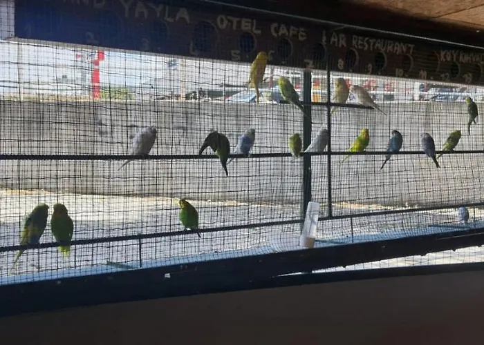 Grand Yayla Çeşme