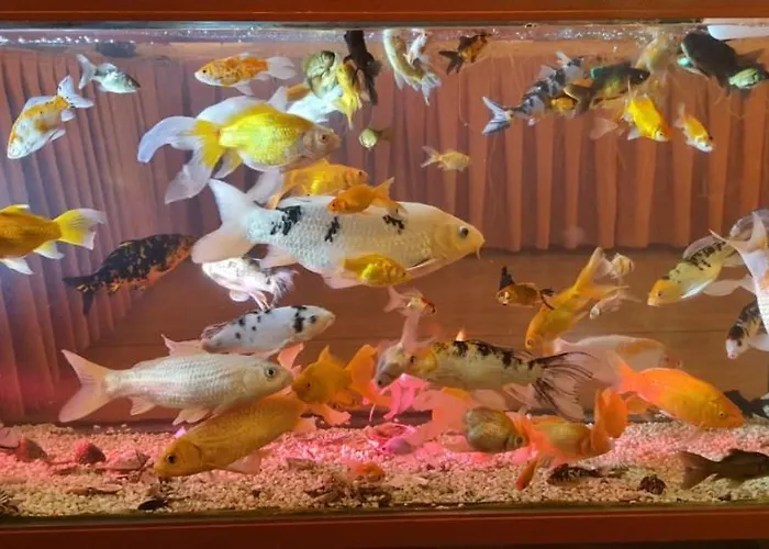 Grand Yayla Szálloda