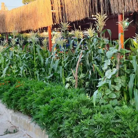 Grand Yayla Отель 2*