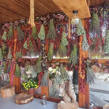 Grand Yayla 2*