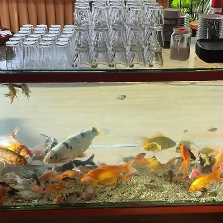 Отель Grand Yayla 2*