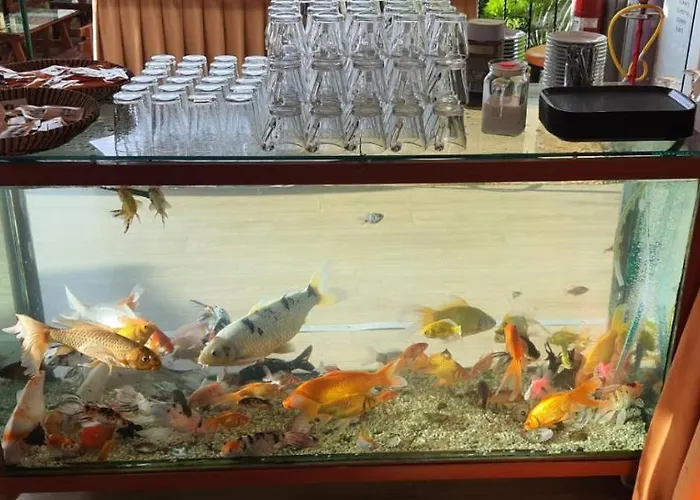 Hotel Grand Yayla 2*